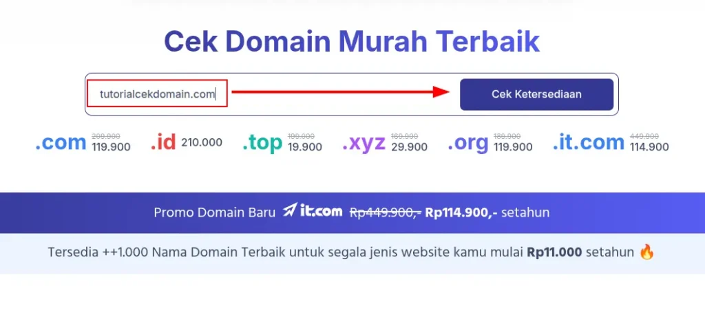cara cek domain