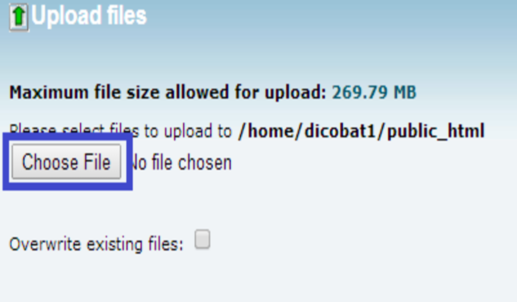 choose file backup