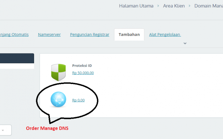 Cara Order Free Manage DNS pada Domain