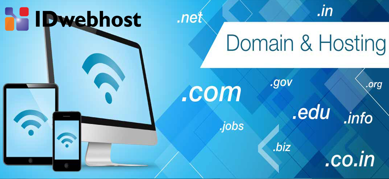perbedaan hosting dan domain