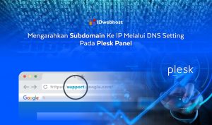 Mengarahkan Subdomain Ke IP Melalui DNS Setting Pada Plesk Panel 