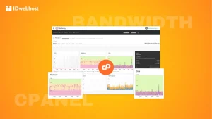 Ini Yang Harus Kamu Lakukan Untuk Melakukan Cek Bandwidth cPanel