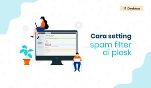 Cara Setting Spam Filter di Plesk Bagi Korban Spam Email
