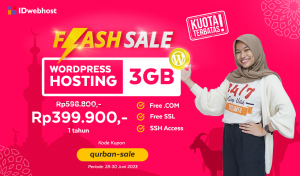 Flash Sale WordPress Hosting Hanya 399ribu-an