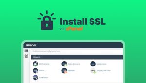 Cara Install SSL Melalui cPanel dengan Mudah dan Cepat