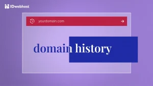 Domain History: Pengertian dan Cara Mudah Mengeceknya