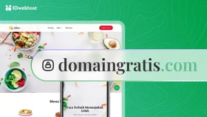 Bagaimana Cara Mendapatkan Domain Gratis Untuk Membuat Website?