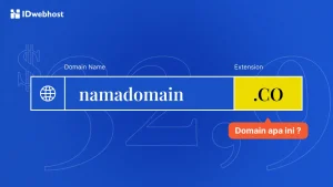 Apa Itu Domain .CO? Ini Fungsi dan Cara Membeli Domain .CO