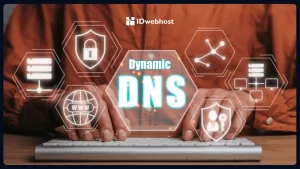 Apa Itu Dynamic DNS? Simak Cara Mudah Setting DDNS di cPanel