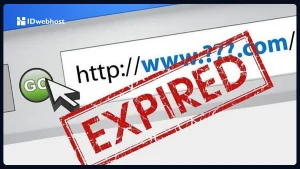 Aged Domain vs Expired Domain: Mana yang Terbaik untuk SEO?