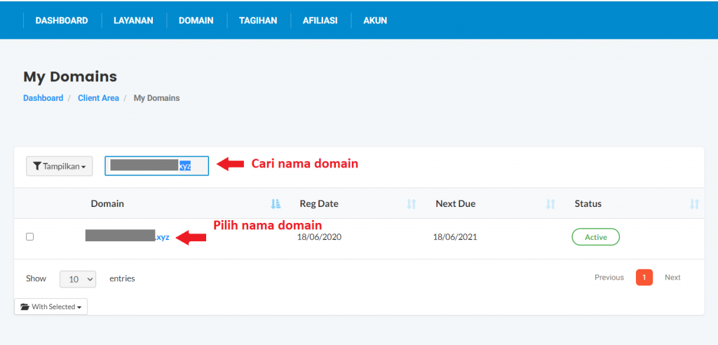 apa itu domain forwarding