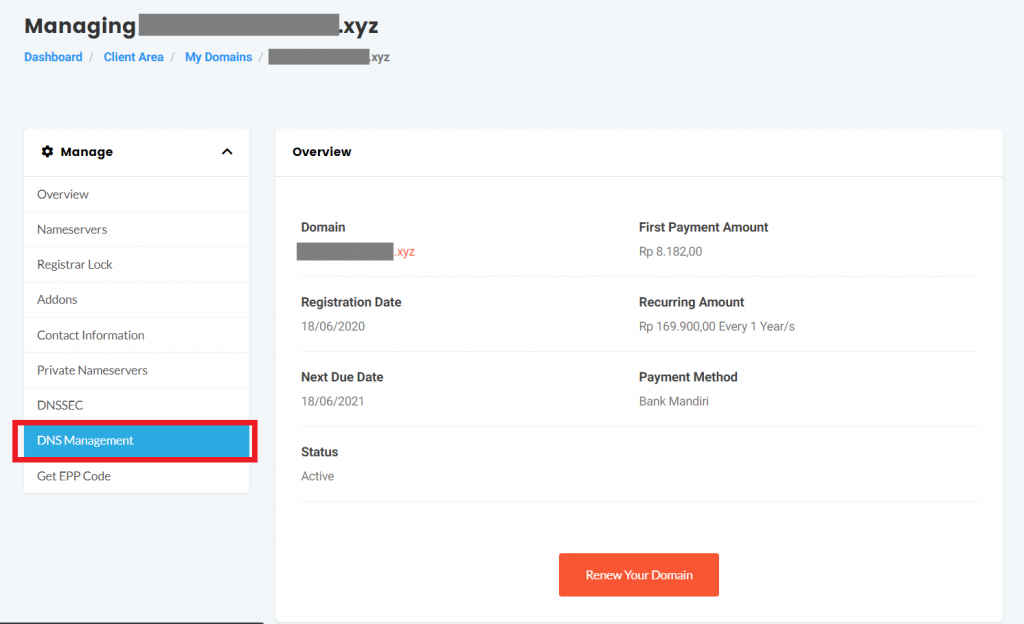 apa itu domain forwarding