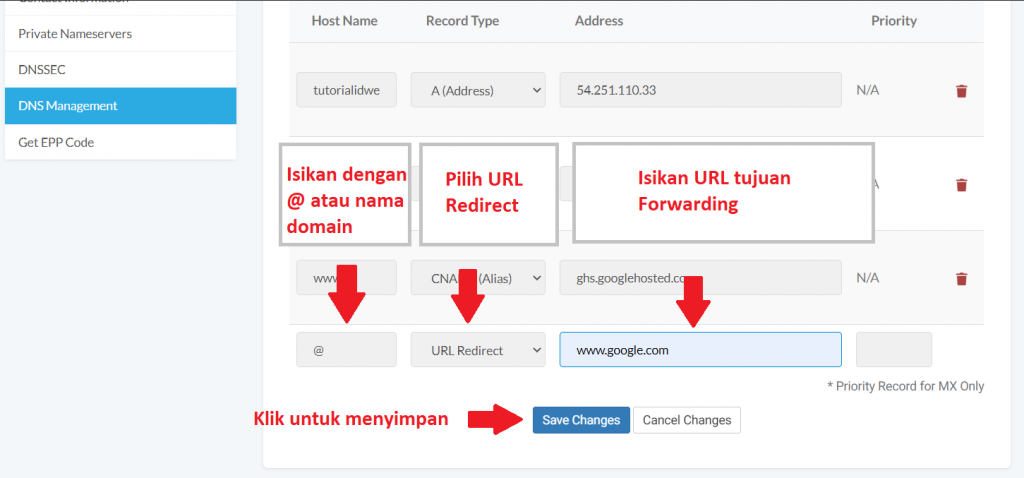 apa itu domain forwarding