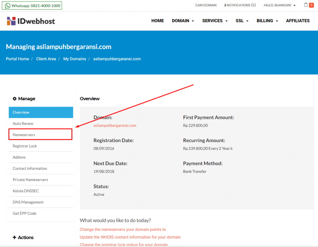 apa itu domain forwarding