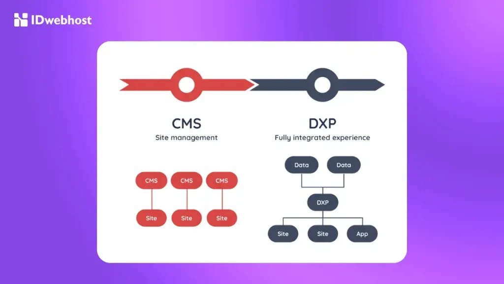 Perbedaan DXP dan CMS