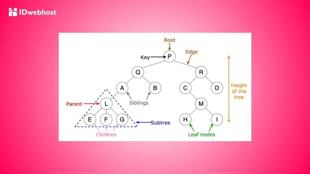 Binary Tree adalah