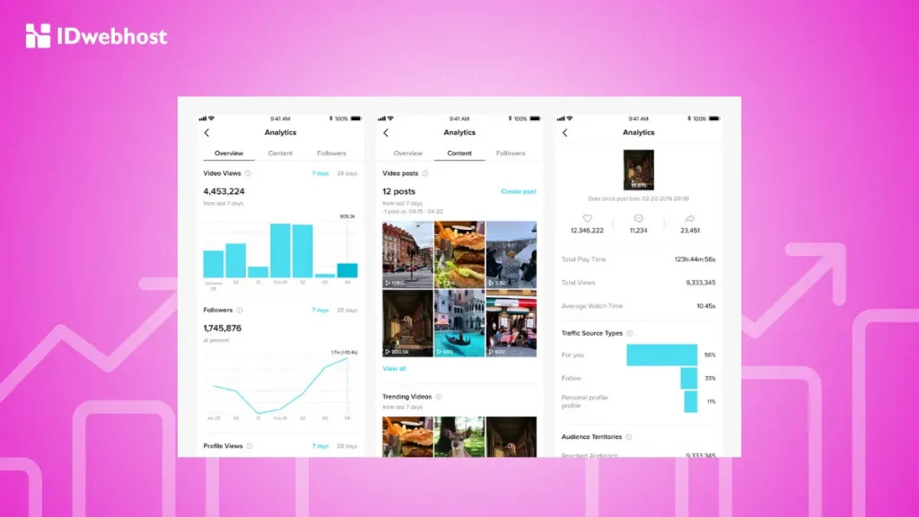 Apa Itu TikTok Insight
