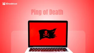 Ping of Death (PoD): Serangan Siber Klasik Era 90-an