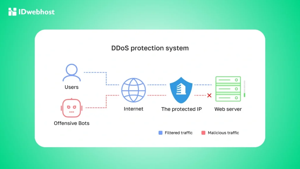 DDoS Protected VPS