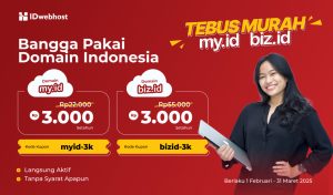 Tebus Murah Domain Murah Indonesia .MY.ID dan .BIZ.ID