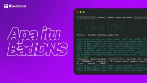 Apa Itu BadDNS? Cari Tahu Fungsi, Module, dan Instalasinya