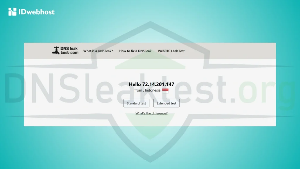 DNS Leak Test
