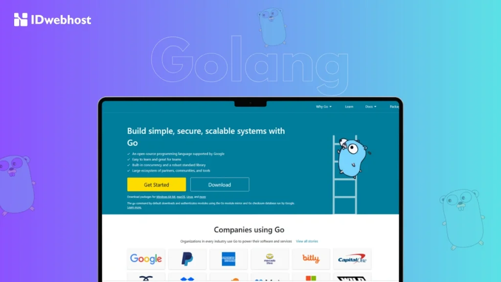 alasan menggunakan Golang untuk backend development