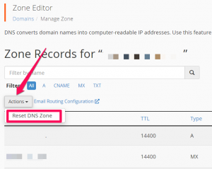 Cara Reset DNS di cPanel Hosting? Ini Langkahnya!